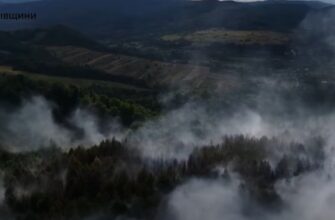 На Прикарпатті триває ліквідація лісової пожежі