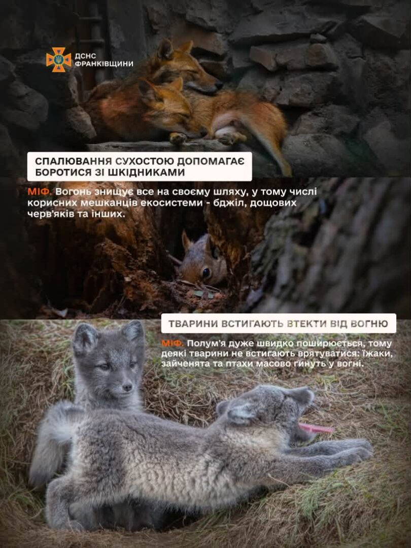 yzhshlzh - Рятувальники розвінчують міфи про спалювання сухої трави та сміття - rai.ua