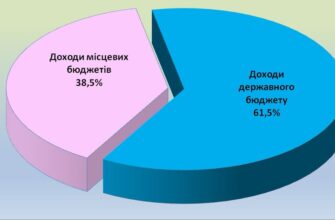 До бюджетів області за пів року надійшло понад 26 млн грн податків