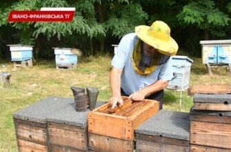 В Івано-Франківській громаді діє програма розвитку сільського господарства. Відео