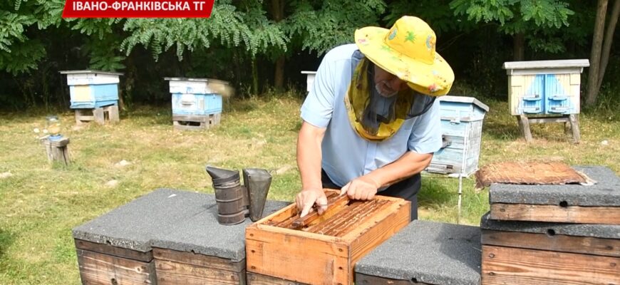 В Івано-Франківській громаді діє програма розвитку сільського господарства. Відео