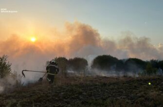 Рятувальники ліквідували 8 пожеж в природних екосистемах області