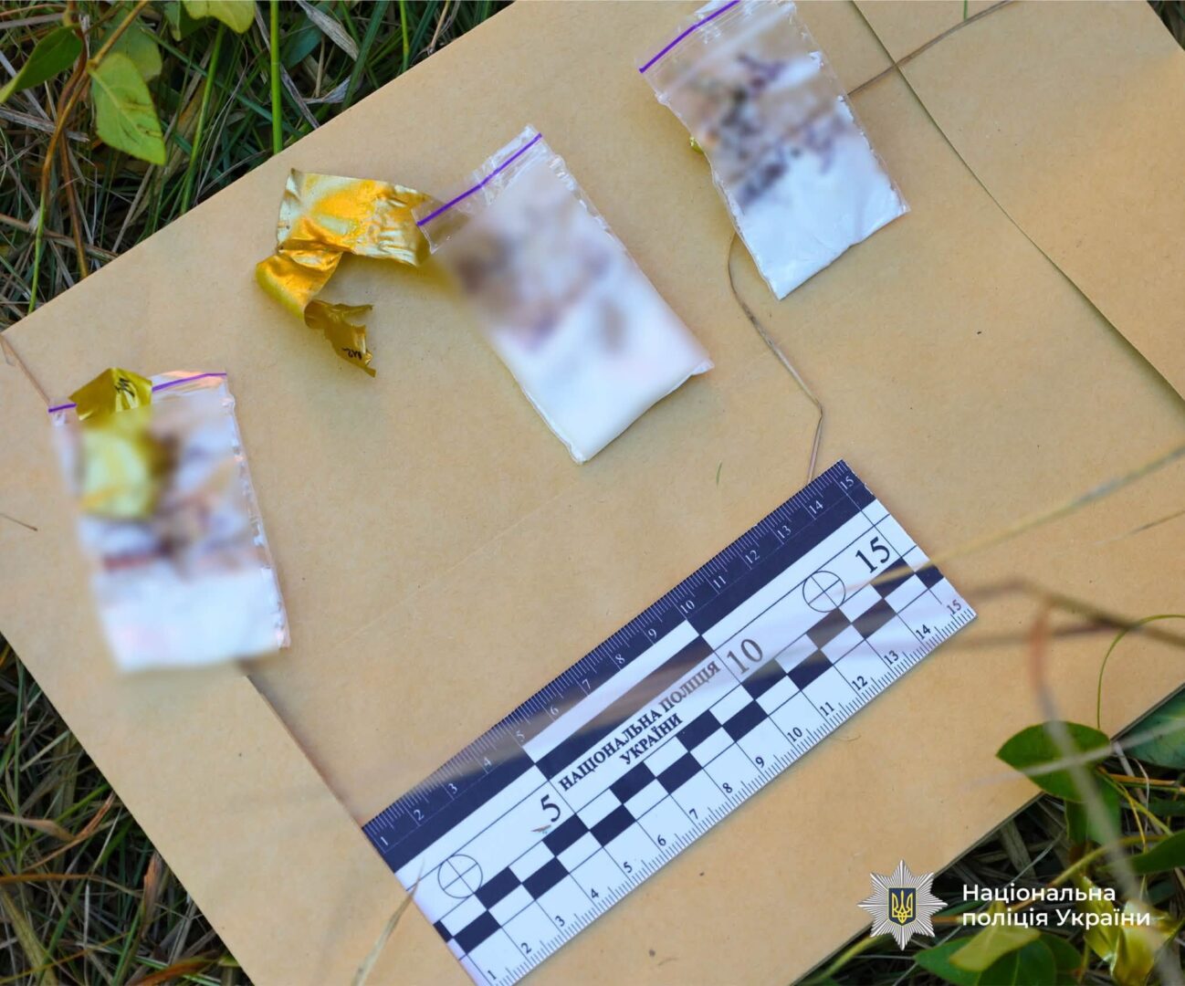 lyr - Наркотики через соцмережу: поліція Прикарпаття ліквідувала наркосхему - rai.ua