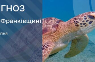 Прогноз погоди на 22 серпня 2026 року