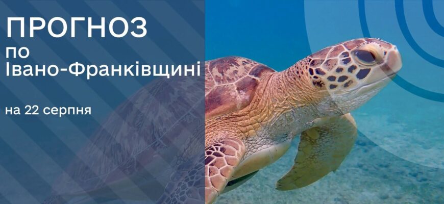 Прогноз погоди на 22 серпня 2026 року