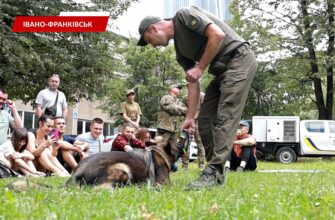 Як собаки допомагають захисникам відновлюватися після травм? Відео