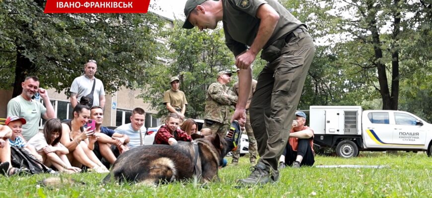 Як собаки допомагають захисникам відновлюватися після травм? Відео