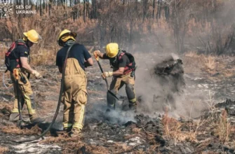 Українські рятувальники у Франції зупинили лісову пожежу, яка загрожувала населеному пункту
