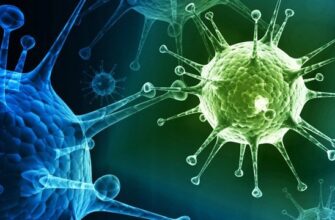 Рівень захворюваності на сезонні вірусні інфекції зріс на 2,6%