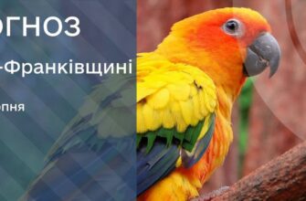 Прогноз погоди на 13 серпня 2026 року