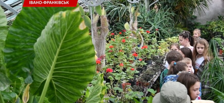 Літо серед природи: екостанція Франківська запрошує дітей на активний відпочинок