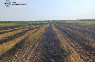 На Івано-Франківщині під час пожежі сухої трави загинула людина