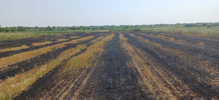 На Івано-Франківщині під час пожежі сухої трави загинула людина