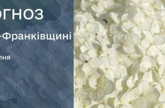 Прогноз погоди на 3 серпня 2026 р