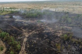 В Калуському районі гасили масштабну пожежу сухої трави та чагарників