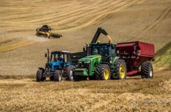 На Прикарпатті стартувала друга фаза жнив