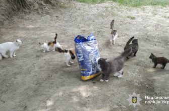 Поліцейські перевірили інформацію про утримання тварин у Косові