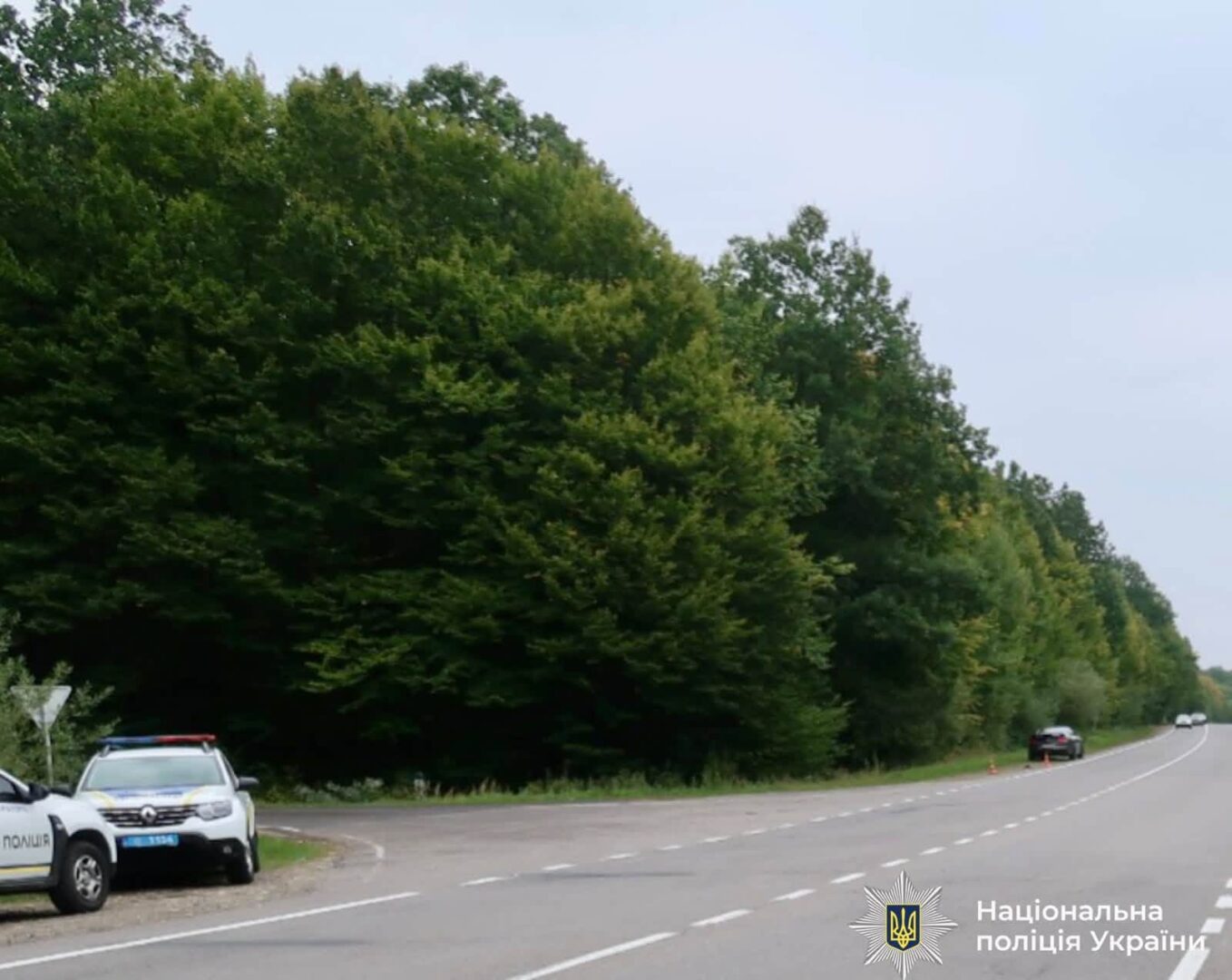 gt9ie - На Прикарпатті автомобіль наїхав на 83-річну жінку - rai.ua
