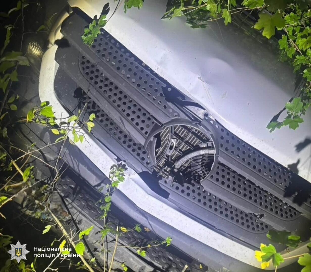 kmar7nsk - 64 та 15 років: в ДТП на Прикарпатті загинули двоє пішоходів - rai.ua