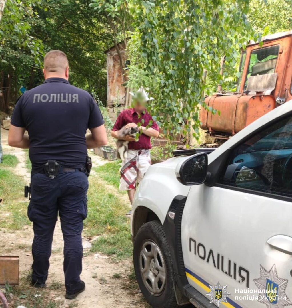 rtshchied - Поліцейські перевірили інформацію про утримання тварин у Косові - rai.ua