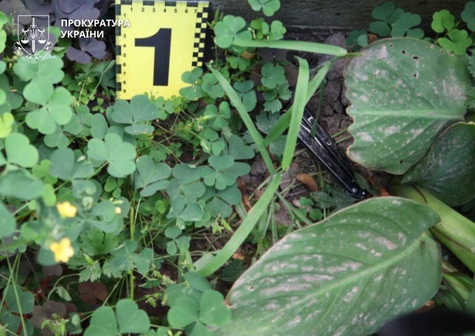 shchdm - Вдарив ножем в серце: в Івано-Франківську затримали 43-річного чоловіка - rai.ua