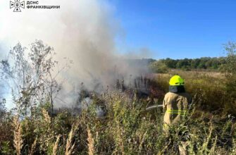 Упродовж доби на Прикарпатті виникло 27 пожеж в екосистемах
