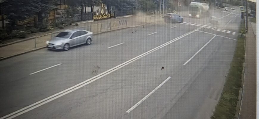 Поліцейські встановлюють обставини ДТП у Ямниці