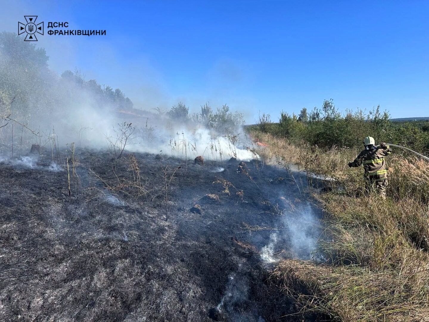 uvssho - Упродовж доби на Прикарпатті виникло 27 пожеж в екосистемах - rai.ua