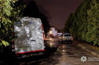 Сіла за кермо чужого Mercedes-Benz та врізалась в дерево: затримано жінку