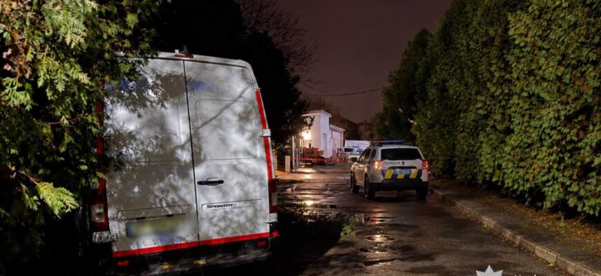Сіла за кермо чужого Mercedes-Benz та врізалась в дерево: затримано жінку