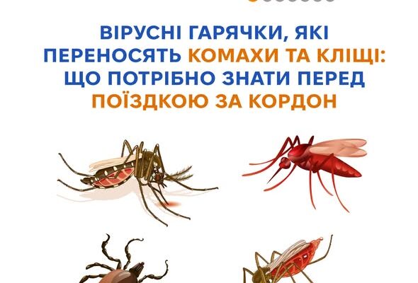 Гарячки, які переносять комахи: що варто знати перед поїздкою за кордон