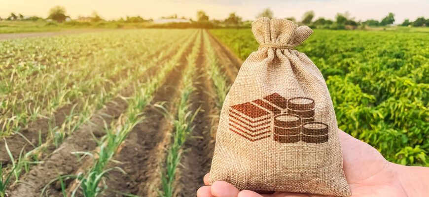 Майже 1,4 млрд грн кредитів залучили аграрії Прикарпаття на розвиток бізнесу