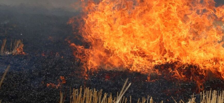 На Прикарпатті зареєстровано 34 пожежі в екосистемах: виявлено тіло жінки