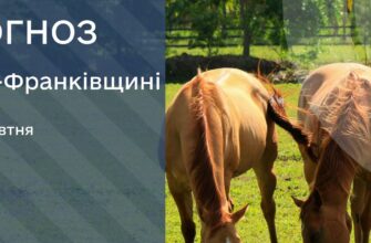 Прогноз погоди на 26 жовтня 2026 року