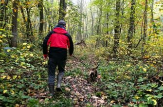 У лісі поблизу Бурштина знайшли тіло зниклого чоловіка