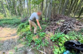 Від вироку за зброю до підозри у незаконній вирубці лісу: викрито 53-річного чоловіка