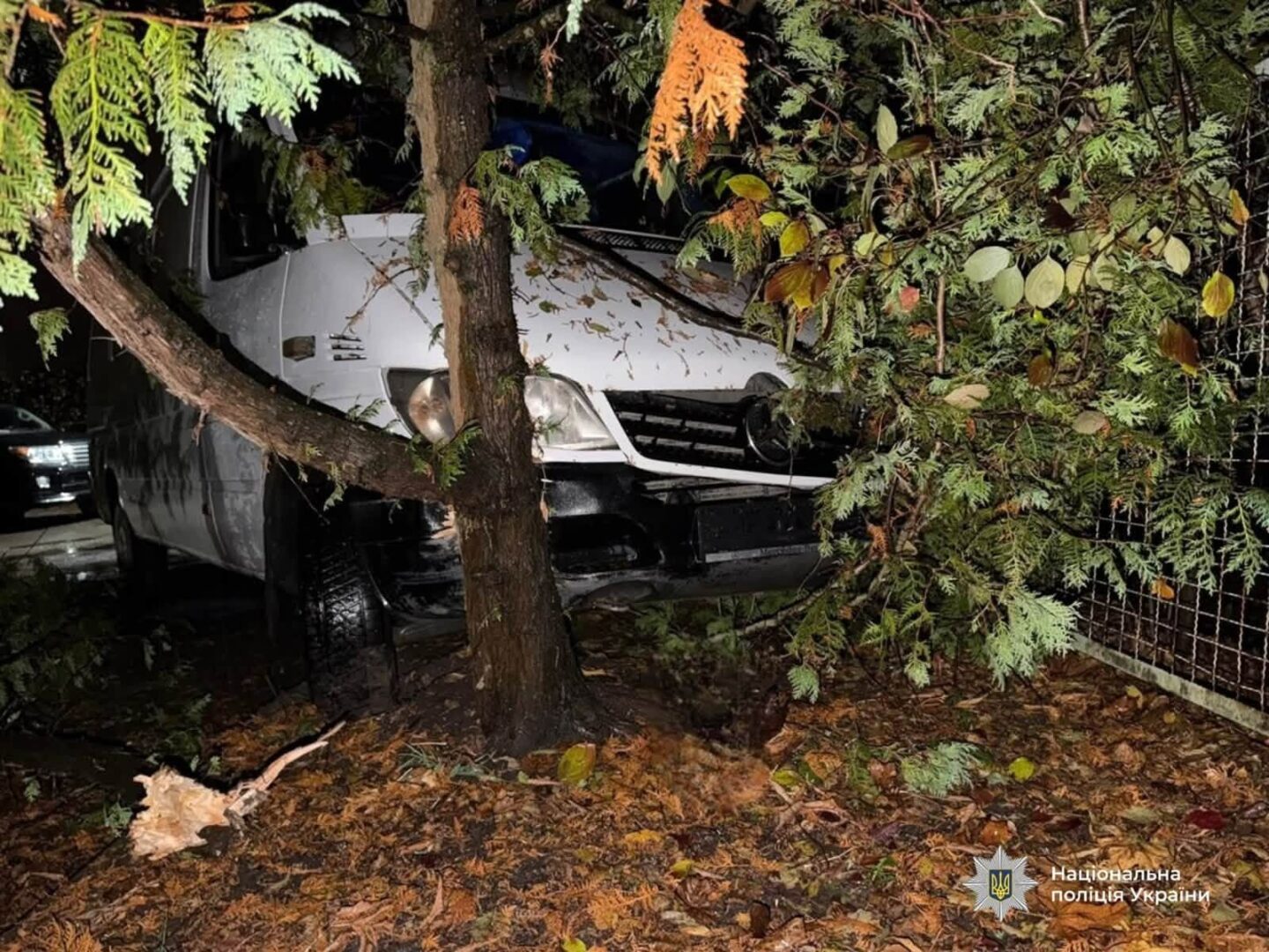 suak5 - Сіла за кермо чужого Mercedes-Benz та врізалась в дерево: затримано жінку - rai.ua